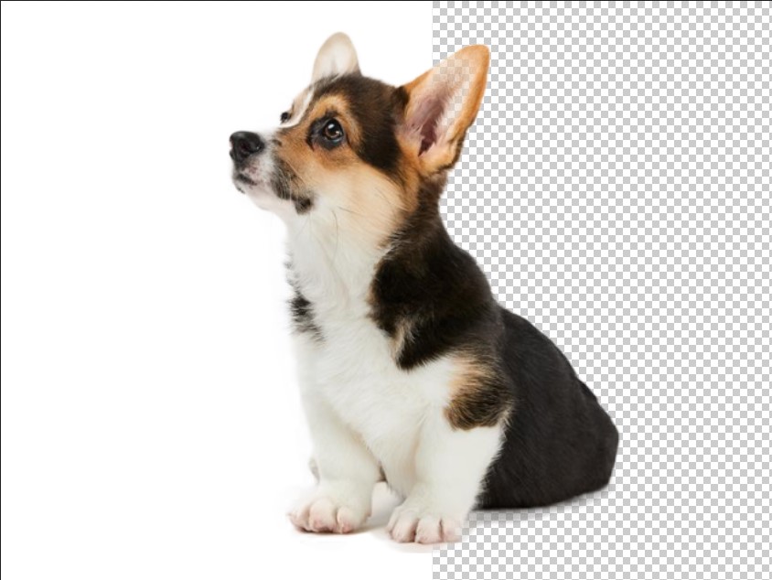 best bulk image background removal